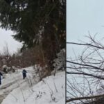 alerta la ministerul energiei situatie critica in judetul alba a fost convocat comandamentul energetic iar la ora 1130 este asteptat un anunt important 695f71e33b51d