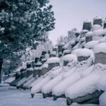 blindajul extrem pe care o tara europeana il face la granita cu rusia si belarus este considerat un adevarat zid impenetrabil 697a7571954e7