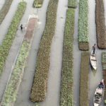 elements off balance doc maker scouted earth to showcase humans working as parts of nature to counter collective human narcissism 6978a4ad8b297