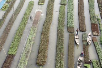 elements off balance doc maker scouted earth to showcase humans working as parts of nature to counter collective human narcissism 6978a4ad8b297