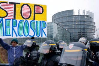 ministrul agriculturii trage un semnal de alarma tarile mercosur folosesc substante pesticide si hormoni interzisi in romania si ue 69722e7097b99