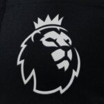 oficial transfer tare in premier league bine ai revenit acasa 697a66fac8461