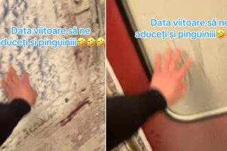 scene incredibile intr un tren din romania zapada a ajuns in vagoane iar oamenii se plang ca ingheata in transportul in comun 696125d8ed2ba