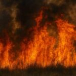 stare de urgenta in argentina in urma incendiilor masive de padure video 697c48fe9b7ac