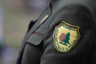 cand spera diana buzoianu sa fie adoptata reforma romsilva am ajuns intr un punct in care toate partidele suntem aliniate 698ee21e02887