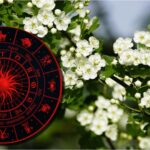 cine sunt zodiile care scapa de ghinion in luna martie vor simti cum echilibrul revine in viata lor 69a2d510292e2