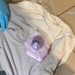 cocaina adusa din spania pentru cluburile din bucuresti confiscata de diicot patru suspecti prinsi in flagrant 698decfcd046c