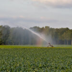 fondurile pentru proiectele de apa trebuie prioritizate in viitorul buget ue avertizeaza ministrul mediului diana buzoianu 6986197c54006