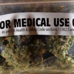 modificari legislative majore pentru regimul drogurilor si substantelor psihotrope pe agenda guvernului astazi 698d6c381d549