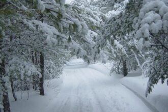 racire accentuata a vremii precipitatii mixte si vant intens in mai multe regiuni ale tarii prognoza anm 69897ed29a0f3