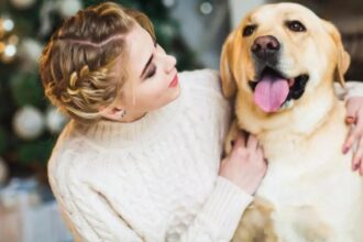 romania se aliniaza normelor ue schimbari majore pentru stapanii de caini si pisici incepand cu 22 aprilie 699a25e176d50