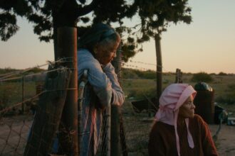 rotterdam film festival variations on a theme and master win top awards 69862ca55dd7c