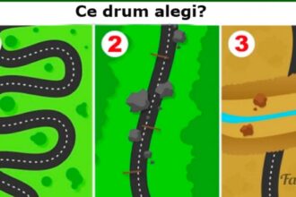 test psihologic alege un drum si afla ce spune despre tine 69831049ce4d2