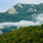 video zacaminte de minerale rare descoperite in apuseni o companie canadiana a gasit uraniu cobalt si nichel 69837bff142a2