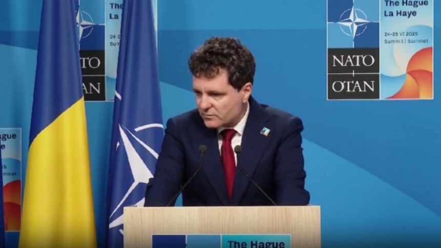 alba neagra cu terenul din predeal al lui nicusor dan diferente de suprafata si categorii de teren sesizare ani 69a91d178d203