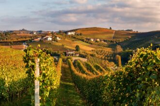 european wine chocolate and cars to become cheaper in australia amid landmark trade deal with eu 69c20eb175fe9