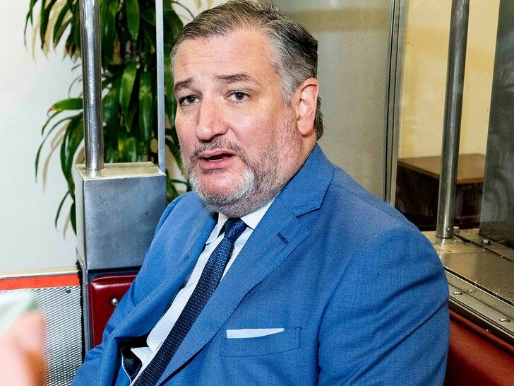 senators ted cruz john thune leave d c amid government shutdown 69c6ce1dbb52e