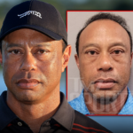 tiger woods circle reportedly expresses concern after golfers dui arrest 69c9b999c14d6