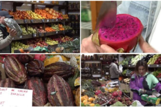 video romanii au prins gustul fructelor exotice cum s au transformat aprozarele clasice in afaceri cu rambutan jackfruit sau mangustan 69b7b01c55363