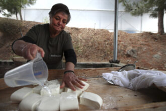 branza halloumi in pericol fermierii ciprioti se confrunta cu o epidemie mortala iar solutia depinde de acordul turcilor din nord 69dca82a23a34