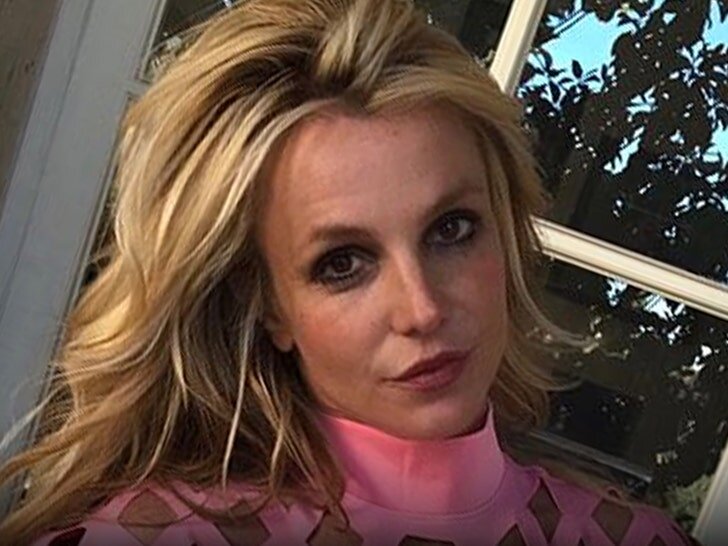 britney spears officially charged with dui 69f3b99555c40