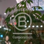 dozens of firms risk losing b corp status after standards overhaul 69d3e7dc096f1