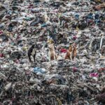 germany was largest exporter of plastic waste in 2025 sending 810000 tonnes overseas analysis finds 69f36ea803682