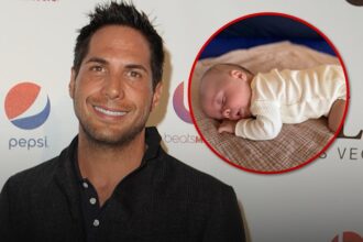 girls gone wild founder joe francis welcomes baby via surrogate 69f1c8c008fc2