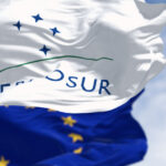parlamentul european saluta aplicarea acordului ue mercosur de ce va fi doar provizoriu incepand cu 1 mai 69f3303718d7d