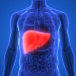 raise tax on alcohol and junk food to cut deaths from liver disease experts say 69f2980b88e65