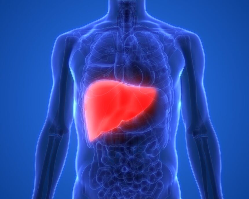 raise tax on alcohol and junk food to cut deaths from liver disease experts say 69f2980b88e65