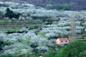 spanish conservatives revive regional pacts with far right vox party 69e9f973474b0