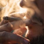 success or total flop report on germanys cannabis legalisation fails to settle debate 69cd4a7dc689c