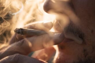 success or total flop report on germanys cannabis legalisation fails to settle debate 69cd4a7dc689c