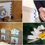 video metoda naturala inovatoare terapia cu aerul din stup judetele din romania unde oamenii pot face apiterapie e foarte benefica 69e8495e29b4f