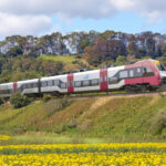 video ministrul transporturilor despre trenurile pesa nu accept sa se decoloreze in triajul garii obor caut metode sa le dam drumul 69f0e3e8d51cf