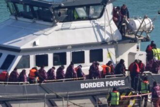asylum seeker sent back to france in one in one out scheme to be returned to syria 69f5c55c665c7