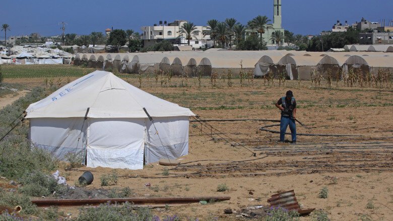o recolta de speranta o familie reconstruieste intr un cort singura banca de seminte din gaza 6a9bc0eddc21b