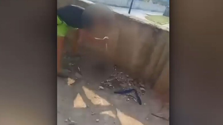 video caz de o cruzime uluitoare in judetul valcea sapte pui de caine au fost atacati cu un cutit de doi copii de 11 si 13 ani 6aa59365ba8b9