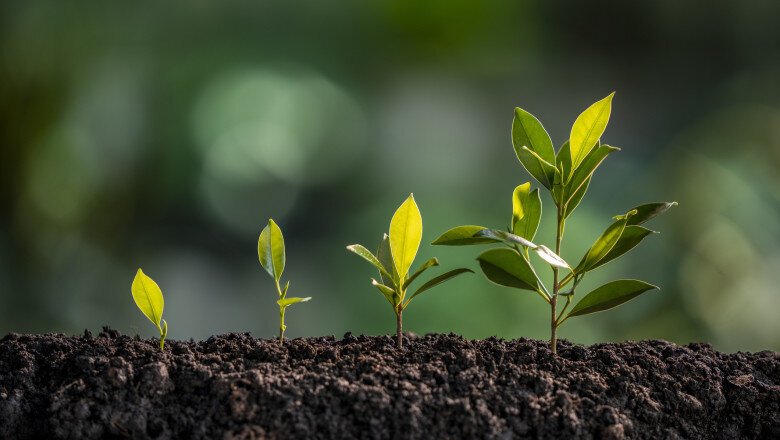 cine plateste pentru salvarea naturii disputa dintre statele bogate a blocat negocierile summitului onu pentru biodiversitate 6ae621d3ef34e