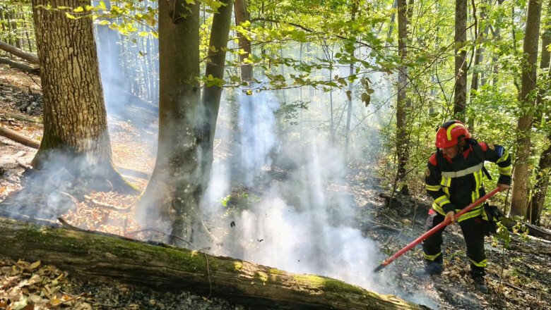 videofoto incendii de vegetatie in caras severin si valcea trei elicoptere black hawk intervin la baile herculane 6abe1f16518b2